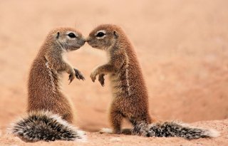 キスで幸せな人生を（写真:iStock）