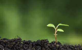 自立の第一歩を踏み出そう（写真:iStock）