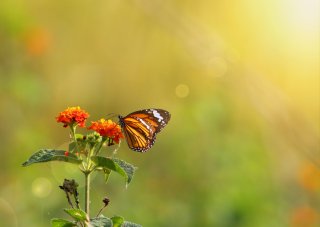 突っ走る恋はもう卒業（写真:iStock）