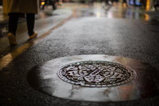 雨の後に咲いた 2019.4.2（火）