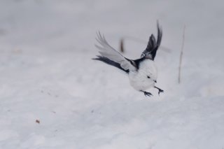 無事の着地まで 2019.4.4（木）