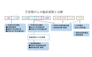 国立がん研究センターがん対策情報センターの子宮頸がんパンフレット等を基にして作成（C）コクハク