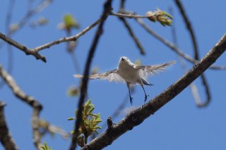 青空と僕 2019.6.21（金）