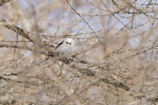 近いようで… 2019.6.24（月）