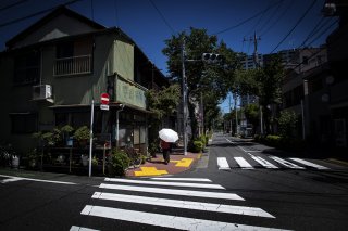 梅雨の晴れ間に 2019.6.25（火）