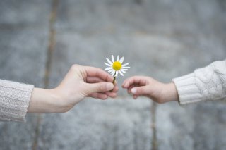 どの花に良だって良さがある（写真:iStock）