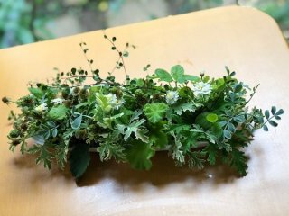 “癒し”とはなんぞや？ 万能植物「ハーブ」が持つすごい効能