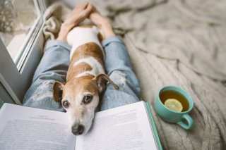 普段の読書とまた違う楽しみ（写真:iStock）