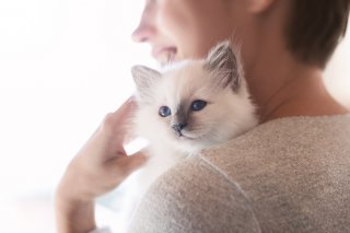 癒やし癒やされる関係も（写真:iStock）