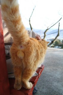 猫に挨拶しながら坂道を…広島・尾道は猫好き女子にお勧め