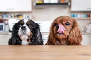 どっちなの？（写真:iStock）