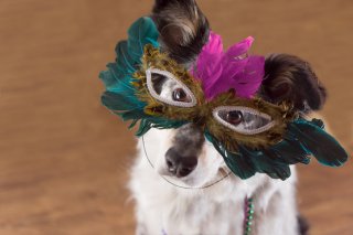 ハロウィン＝派手じゃない！（写真:iStock）