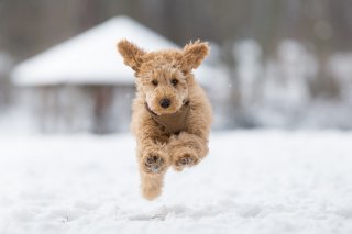 走らなくていいんだよ（写真:iStock）