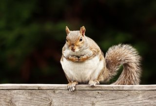 自分の体を定期的にチェックしよう（写真:iStock）