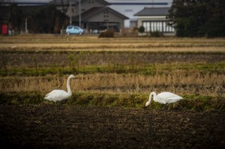 微妙な距離間 2020.2.14（金）