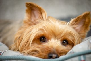 卵巣をお休みさせる状態に…（写真:iStock）