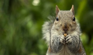 「お願い」という謙虚な気持ちで（写真:iStock）