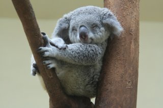 笑顔が増える♡（写真:iStock）