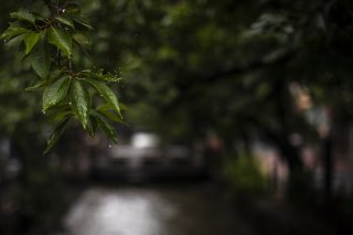 雨粒が弾けた 2020.3.15（日）