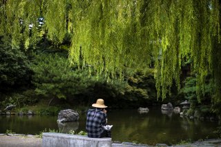 柳の木の下で 2020.5.2（土）