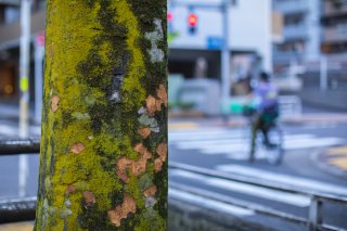 街の片隅の芸術 2020.7.25（土）