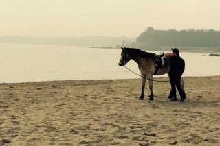 海辺の馬 2020.11.11（水）
