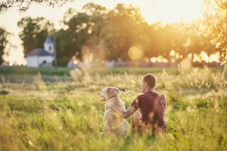 条件は「動物OK」のみ（写真:iStock）