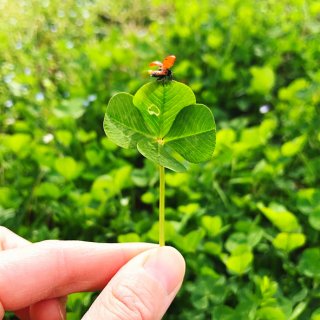 自分の楽しくて幸せな基準を考えてみて（写真:iStock）