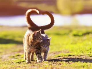 ハッピーな運気があなたにも♡（写真:iStock）