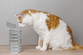 おやつのストックもよろしくにゃ（写真:iStock）