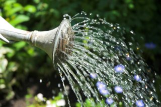 お水はたっぷりと（写真:iStock）