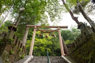 神社ごとに違うケースも（写真:iStock）