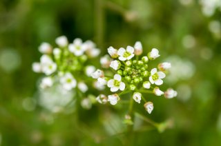 あなたのそばにいるよ byタラスピ（写真:iStock）