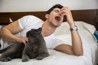 お相手が猫アレルギーだったという悲劇（写真:iStock）