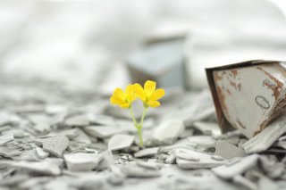 3.11を忘れない（写真:iStock）