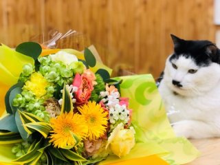  よく見るわ～平社員がよくこの色の花使ってるわ～　ｂｙさぶ店長