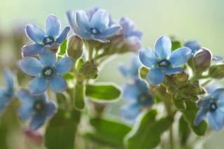 仕事運UPに！（写真:iStock）