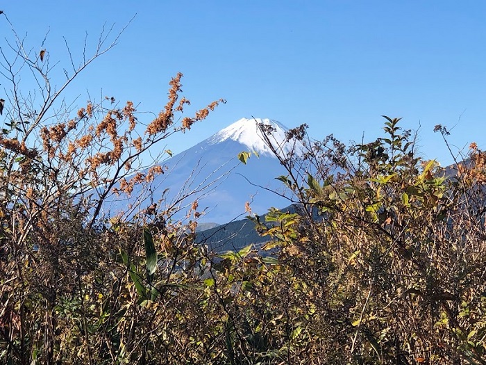 富士山を見るとテンション上がるよね（C）コクハク