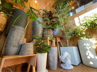 お花屋さんの店内でもサーキュレーターは必需品写真　Seino flower 