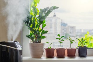 加湿器を隣に置くのも手（写真:iStock）