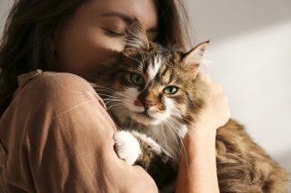 猫がいればそれでいい♡（写真:iStock）