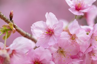 行事って悩ましい…！（写真:iStock）