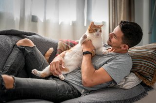 猫と一緒にゴロゴロ過ごすのが夢（写真:iStock）