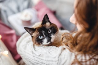 実は愛情深いんです♡（写真:iStock）