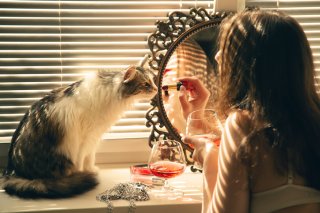 猫好きは刺激好き？（写真:iStock）