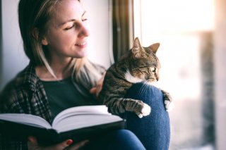 気まぐれなところがたまらない（写真:iStock）