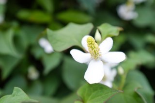 どこまでも増えていく…（写真:iStock）