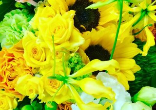 開運花師激推し！夏っぽ“黄色の花”で元気＆やる気をチャージ