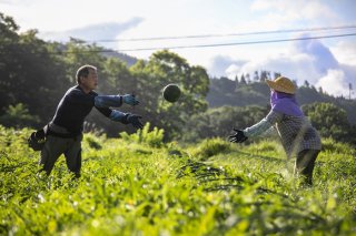 収穫は息を合わせて（C）Koji Takano