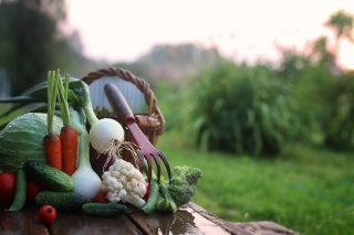 その土地のものを食べる（写真:iStock）